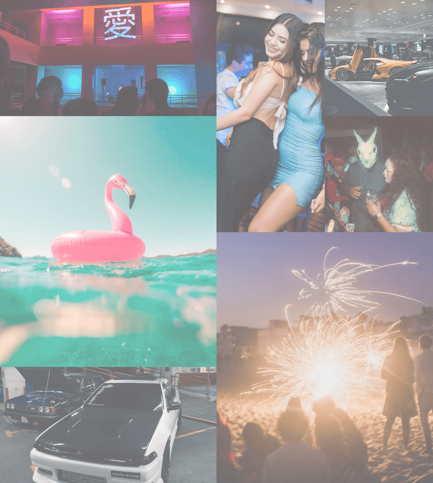 feed